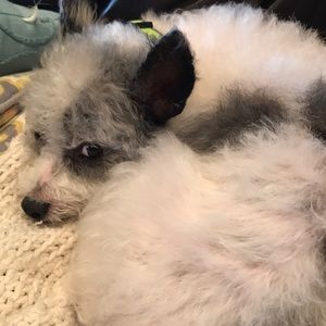 Meet your Posher, Madison